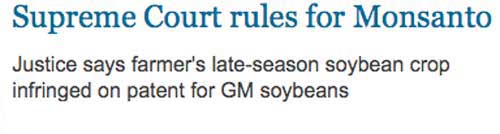 Supreme Court rules for Monsanto: Justice says farmer's late-season soybean crop infringed on patent for GM soybeans