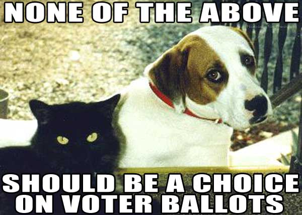 NONE of the ABOVE should be on voter ballots