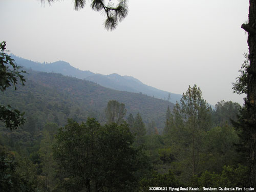 200806.21 Northern California Fire Smoke at Flying Snail