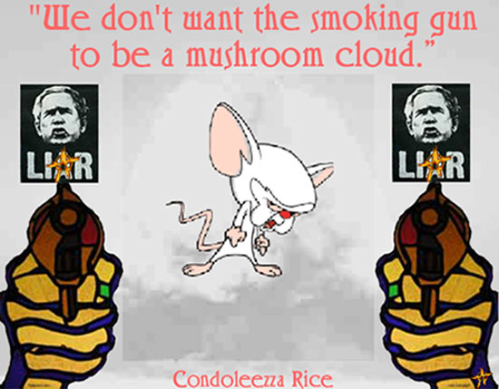 We don't want the smoking gun to be a mushroom cloud. - C. Rice