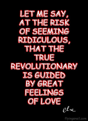 Let me say, at the risk of seeming ridiculous, that the true revolutionary is guided by great feelings of love ~ Che