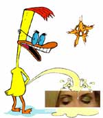 Angry Duck
