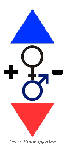 Feminine Masculine Positive Negative Ascend De-Ascend