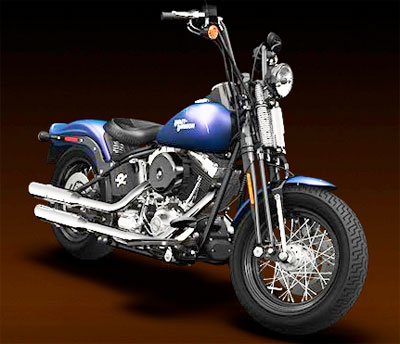 2010 Harley-Davidson Cross Bones