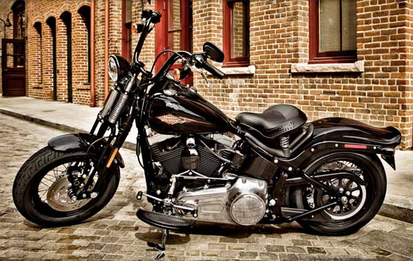 2011  SOFTAIL® CROSS BONES™