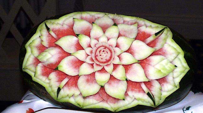 Lotus watermellon