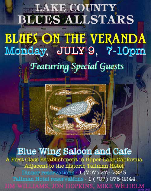 Lake County Blues Allstars - Upper Lake, July 9th