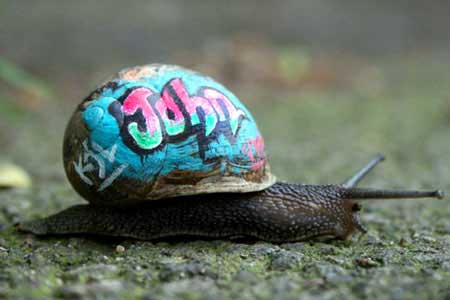 Graffiti Snails Roaming London