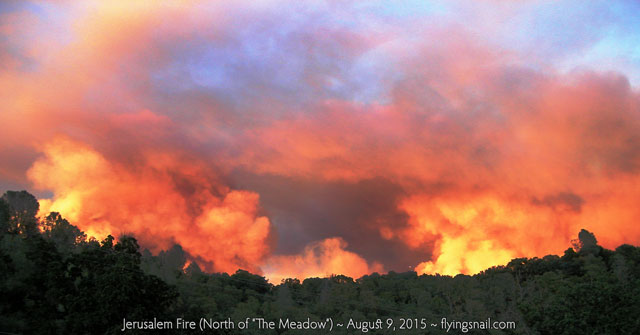 Jerusalem Fire ~ North of 'The Meadow' ~ August 9, 2015