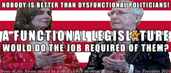 Nobody is better than dysfunctional politicians!  A functional legislature would do the job required for them? ~ Nobody for President 2020 ~ One definition of THEY/THEM!