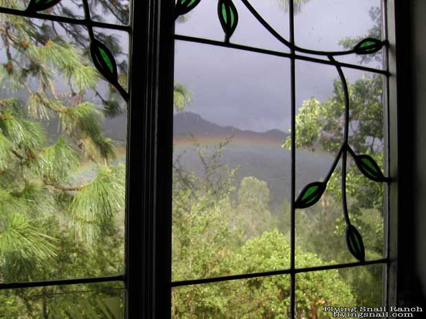 Flying Snail Ranch Kitchen Window