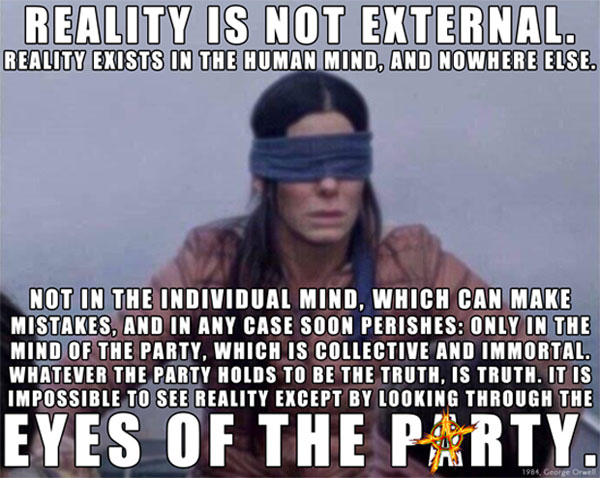 Bird Box Eyes