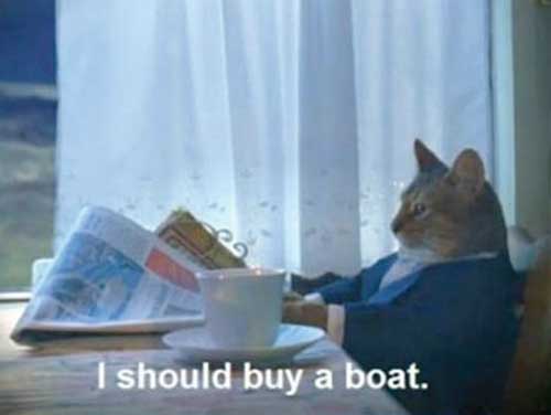 Cat reading newspaper says, 'I should buy a boat.'