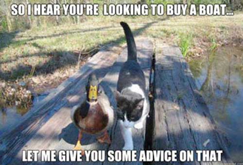 Cat and Duck walking together ~ Duck says, So I hear you're looking to buy a boat... Let me give you some advice on that
