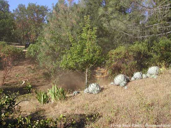 Looking South as the compost pile area is cleared