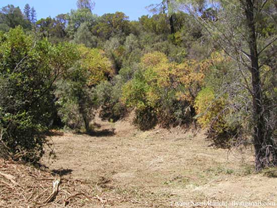 Lower Large (empty) Pond