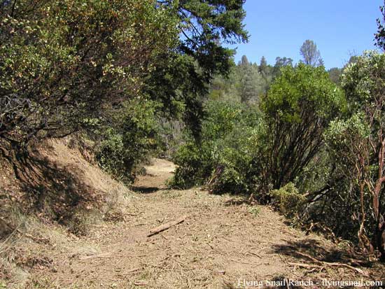 First fire trail below  house