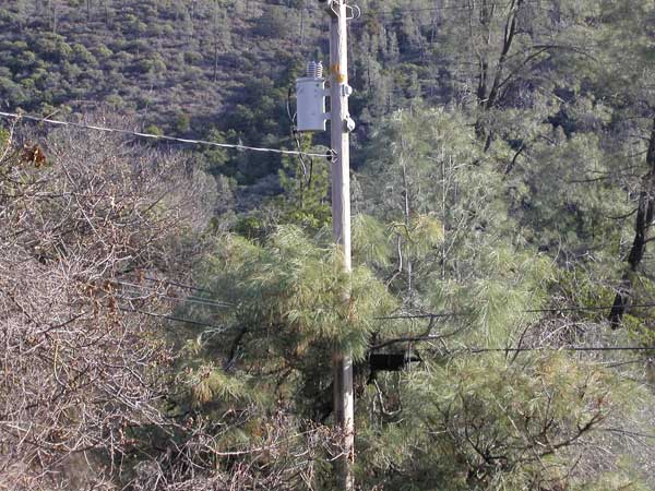 Dangerous Transformer Above Pine tree with dry Pine needles below it PG&E refuses to look at - for almost 8 years