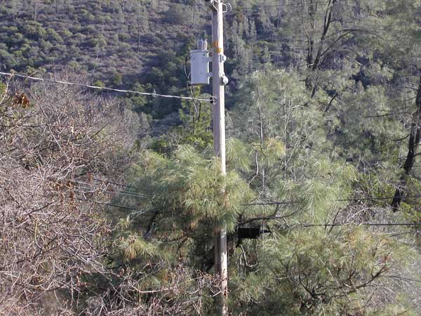 Dangerous Transformer Above Pine tree with dry Pine needles below it PG&E refuses to look at - for almost 8 years