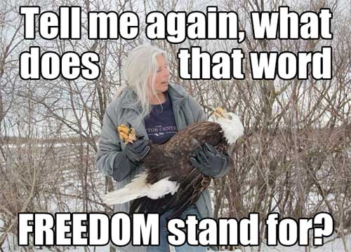 Tell me again, what does that word FREEDOM stand for?
