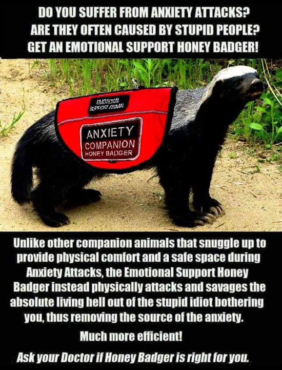 Honey Badger