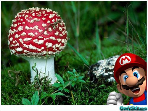 Real Life Mario Super Mushroom