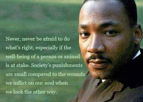 Never, never be afraid to do what's right, especially if the well-being of a person or animal is at stake.  Society's punishments are small compared to the wounds we inflict on our soul when we look the other way. ~ Martin L. King