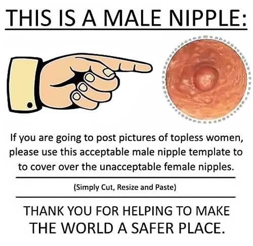 This is a male nipple. If you are going to post pictures of topless women please use this acceptable male nipple template to cover over the unacceptable female nipples. ~ Simply Cut, Resize, and Paste ~ Thank you for helping make the world a safer place.