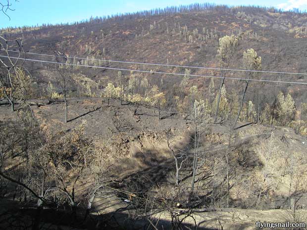 Flying Snail Ranch after Valley Fire