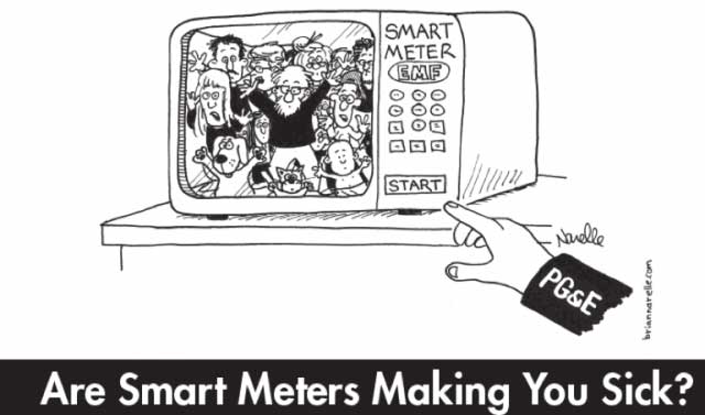 Is PG&E Going To Remove Dangerous Smart Meters That Cause Human and Animal Health Problems?