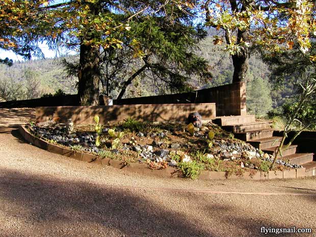 Ranch ~ Succulent Garden, Ancient Douglas Fir, Oak Tree and backyard