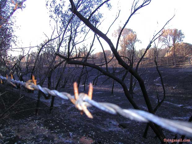 Valley Fire