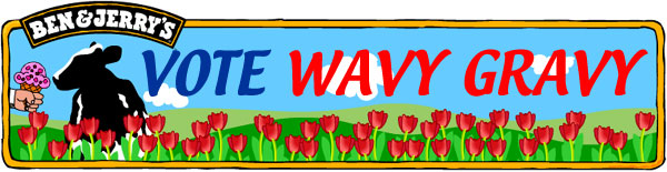 VOTE FOR BEN and JERRY'S - WAVY GRAVY ICE CREAM AND SEND A LESS FORTUNATE CHILD TO SUMMER CAMP