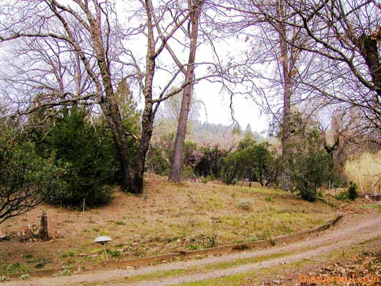 Photo of what it looks like today without snow or rain.