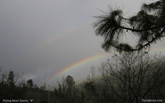 Double  Rainbow in canyon behind house