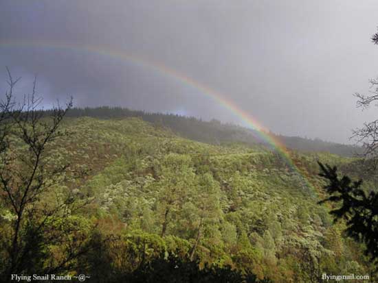 Rainbow in canyon behind house.