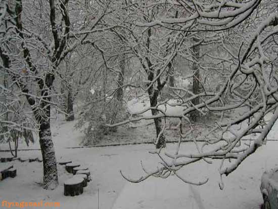 Normal Winter with snow photo for as long as I can remember, until three years ago.